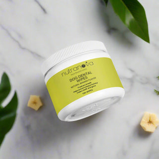 Dog Dental Wipes - NutraNova
