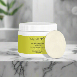 Dog Dental Wipes - NutraNova