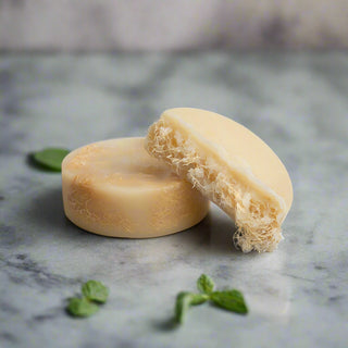 Exfoliating Luffa Bar - NutraNova