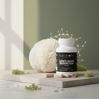 Lion's Mane Mushroom Capsules - NutraNova